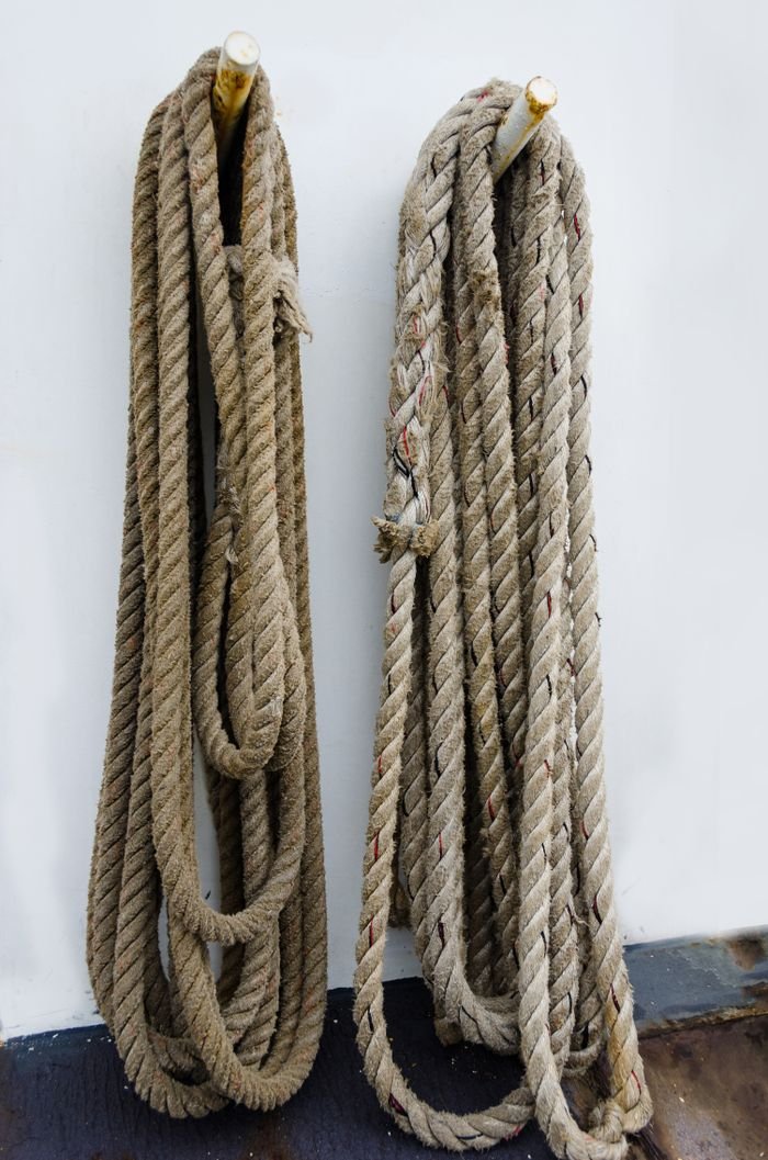 Two thick brown ropes neatly coiled and hanging on a white background.